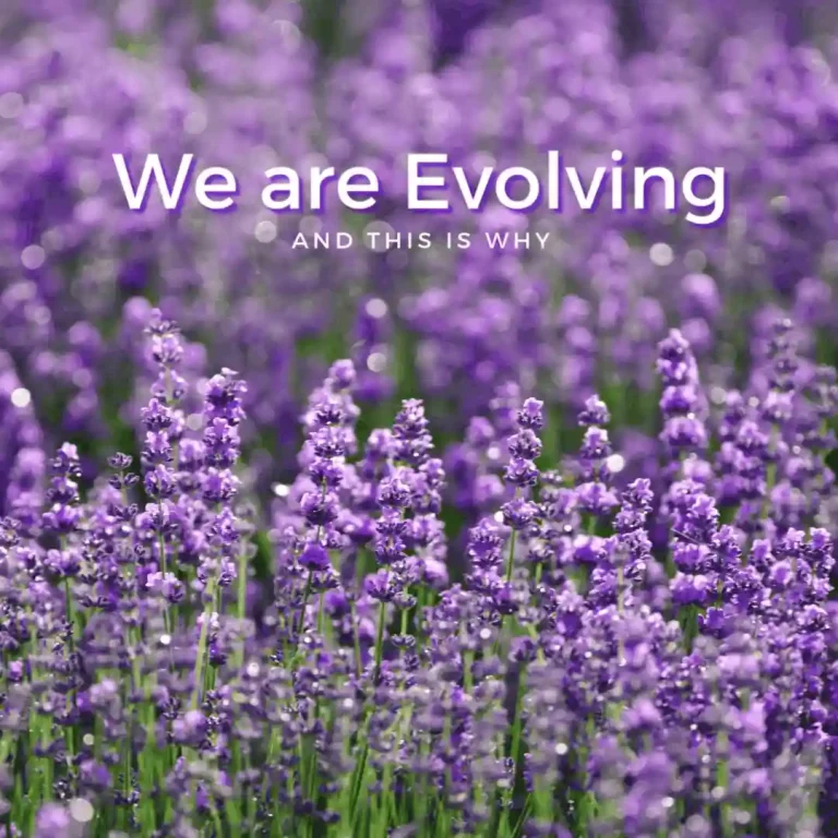 Tanga Organics Social Media